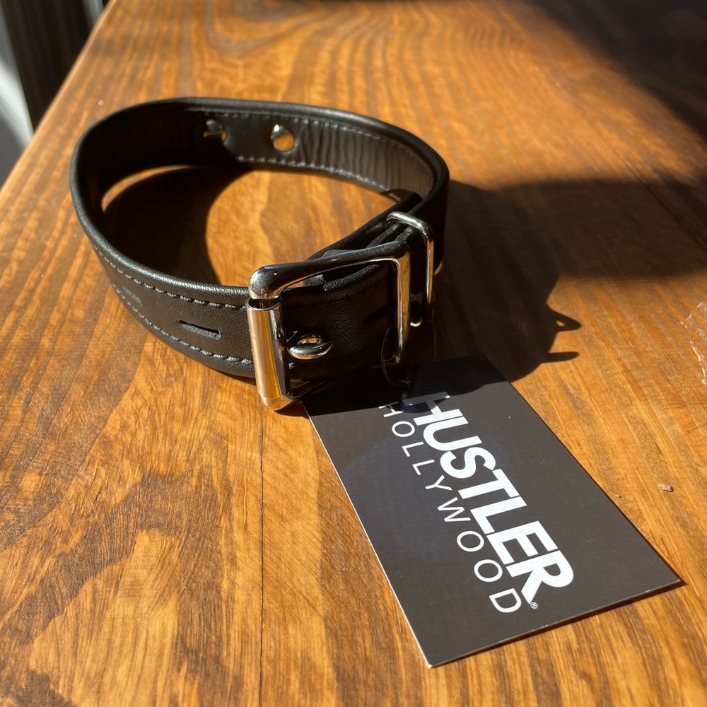 NEW! Leather collar with unique hardware in the front and locking buckle.